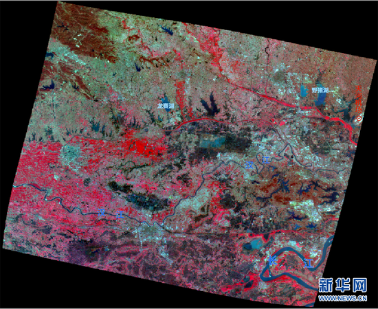 武汉大学启明星一号微纳卫星传回的湖北孝感影像（彩红外）。新华网发 武汉大学供图