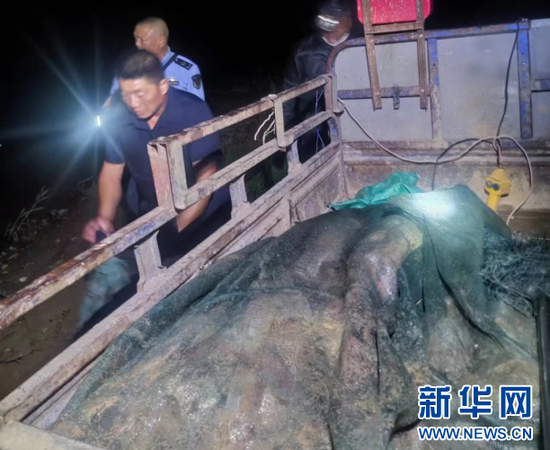 渔政执法人员现场查获渔获物。新华网发