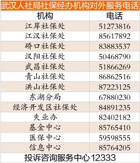 武汉流动人口社保_武汉人口分布图