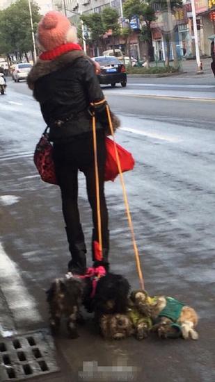 湖北孝感现拖行虐狗致死 女子沿途无视劝阻(图