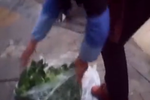 實拍城管雇地痞暴力執(zhí)法 記者采訪遭斥:欠揍嗎
