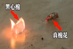 殯儀館火葬場(chǎng)售賣死人衣 轉(zhuǎn)手做“黑心棉”