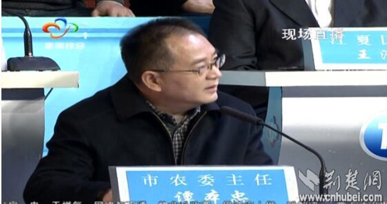 武汉市农委主任谭本忠现场回应
