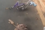 男子開車看手機(jī)油門當(dāng)剎車 撞死4人包括2名嬰兒