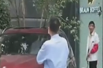 天降大樹直插寶馬車天窗 樹干挺拔如盆栽