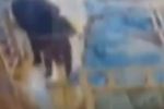 監(jiān)控:男童不午睡被扒光放走廊 涉事老師辭職