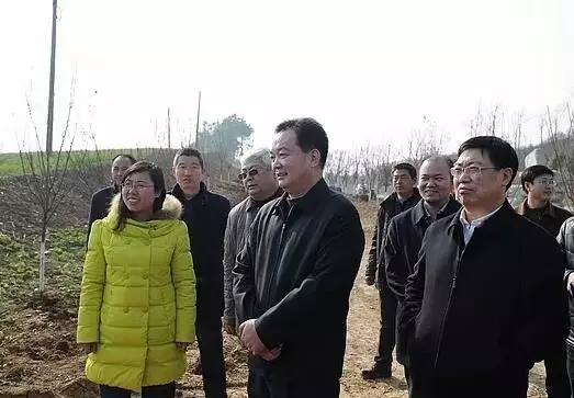 2015年12月20日,时任湖北省委常委、襄阳市委书记王君正到袁冲乡“花径丹渠”景点了解项目建设情况