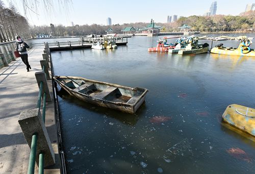 武汉低温-8℃大半个东湖结冰 小金鱼被冻僵(组