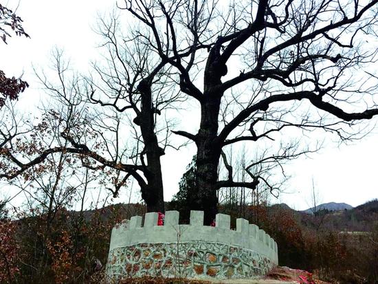 大新县有多少人口_大新和他的“十三太保”