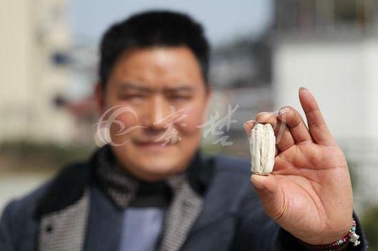 李先生展示万年牛臼齿化石