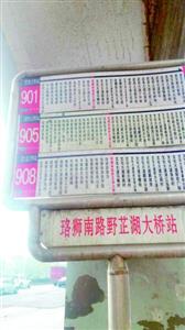 野芷湖大桥上只有四条公交通行