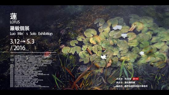罗敏个人画展——《莲》