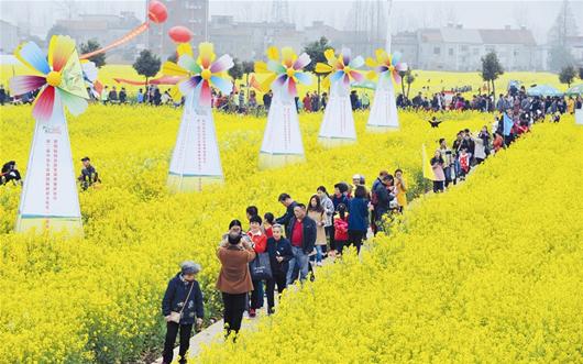 图为：众多游客在田间游玩