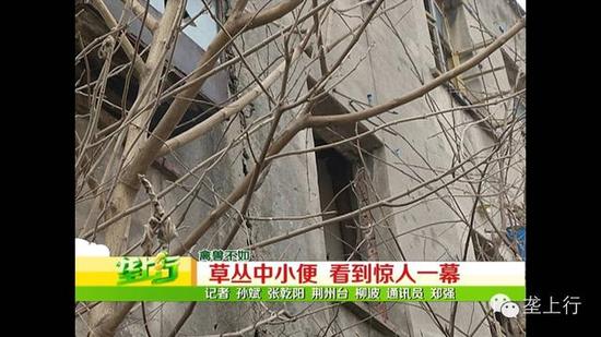 荆州农民工草丛中小便 看到惊人一幕