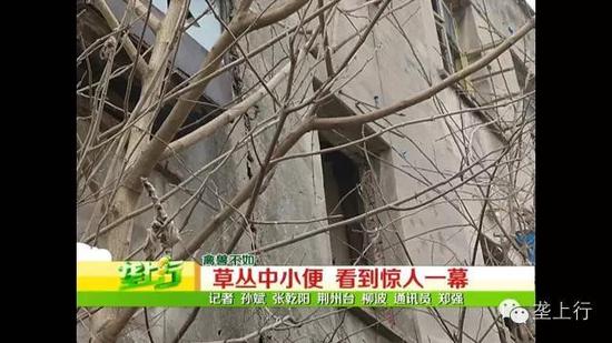 荆州两农民工在草丛小便 意外撞破猥亵幼女案