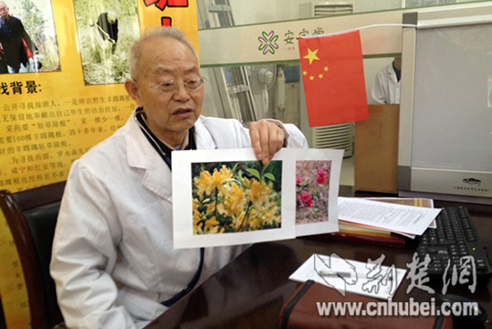羊踯躅也叫羊不食草或黄杜鹃