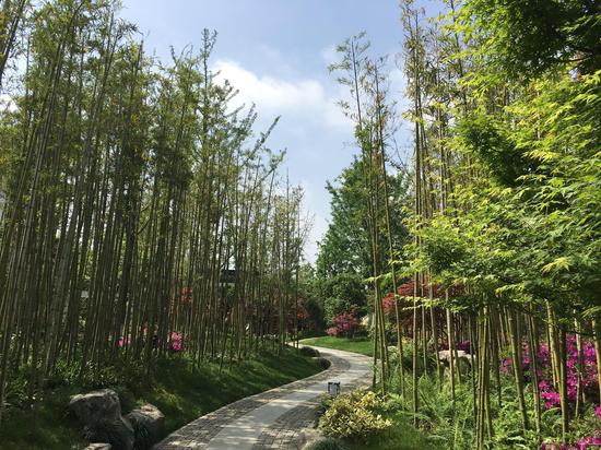 院士建言武汉园博园调整生态 增大乔木灌木比