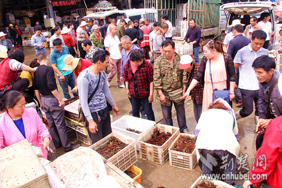 武汉虾市红火 老板买极品大虾要靠抢