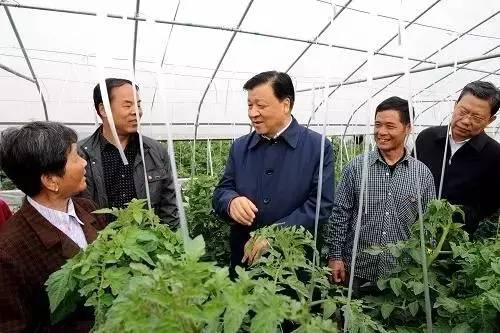 2014年4月13日，刘云山在鄂州燕矶镇池湖村了解生态农业生产情况。 新华社记者 饶爱民 摄