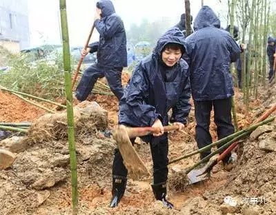 2014年3月12日，鲍秀英在开化县参加植树活动。