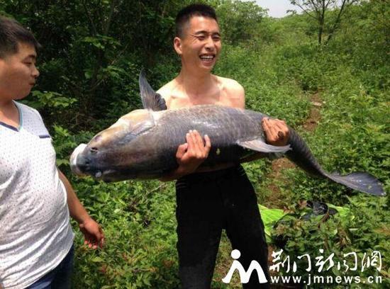 王健(右)展示大青鱼。 通讯员 晏斌 摄