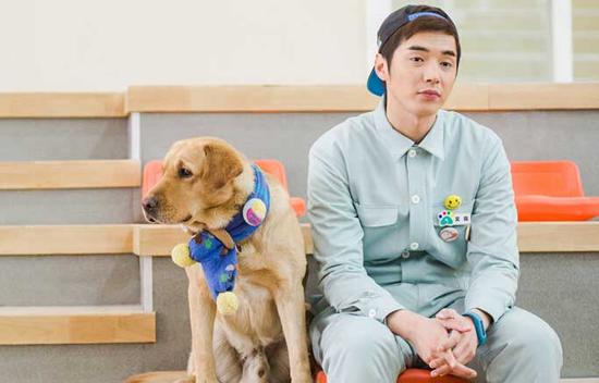 《神奇小七》武汉二套温情开播 呈现都市人犬情的温情故事