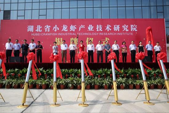 湖北省小龙虾产业技术研究院揭牌成立