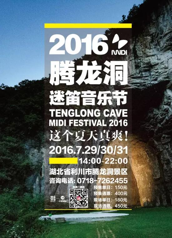 2016腾龙洞迷笛音乐节海报