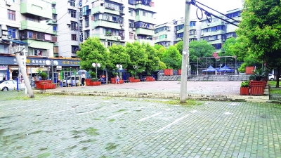 С㳡ϵ