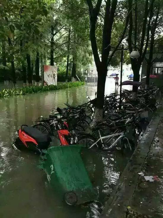湖北暴雨致武汉机场积水堵车 宜昌孝感等地内