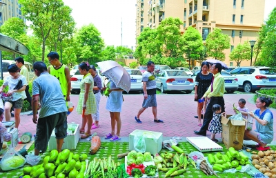 平价菜进入保利中央公馆小区。记者周迪 摄
