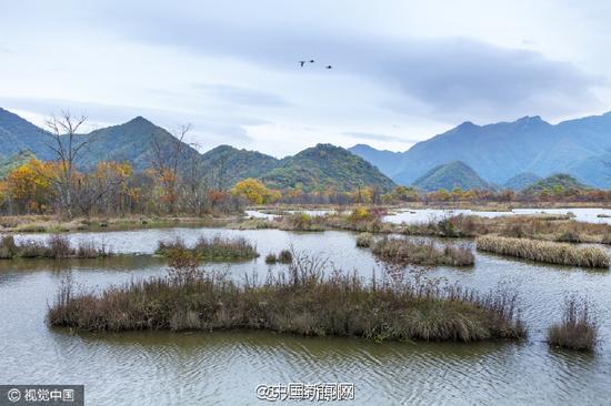 湖北神农架美景