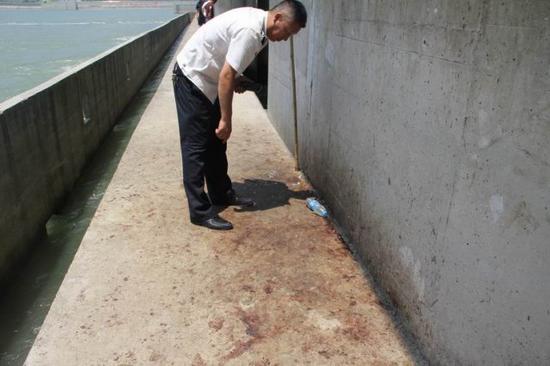 图为非法哄抢者在泄水渠上留下鱼的大摊血迹