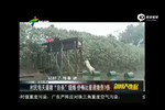 大叔每天逼豬跳水自殺鍛煉 3倍高價(jià)出售