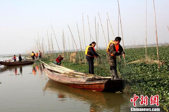 湖北省第三大湖泊長湖圍網(wǎng)養(yǎng)殖開始拆除，圖為拆除現(xiàn)場?！＄娦馈z