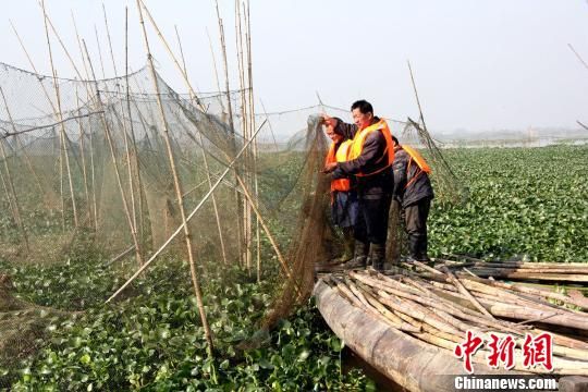 图为拆除现场。　钟欣 摄