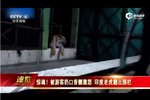 印度老虎被游客扔口香糖激怒 翻圍欄出逃