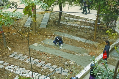 居民正在花坛中修建停车位。记者杨涛 摄