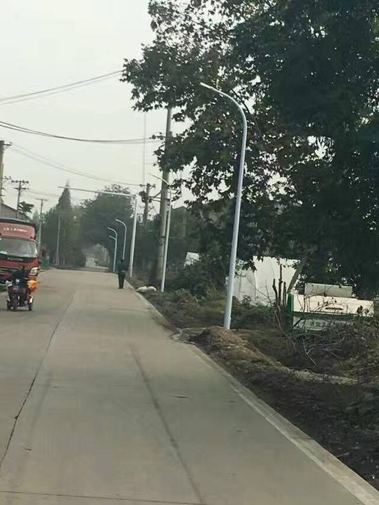 焦沙路新路灯