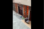 實拍女子故意開摩托車碾壓小孩 孩子哭聲慘烈