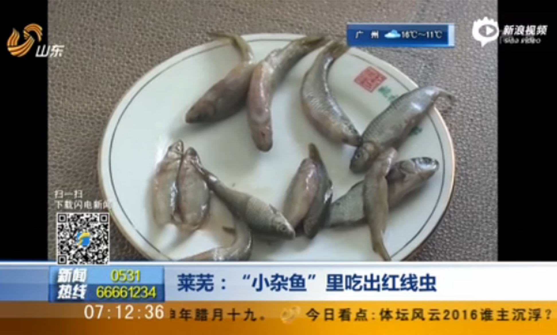 市民“小杂鱼”里吃出红虫 商家称吃了无害