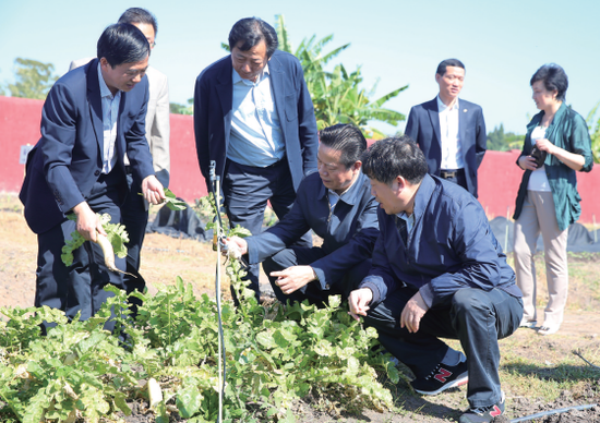 2016年4月14日至23日，应肯尼亚内罗毕郡政府、津巴布韦农业部和赞比亚农业部的邀请，省政协主席张昌尔率湖北省经济代表团对上述三国进行友好访问，并实地考察湖北农业“走出去”情况。图为实地考察湖北农业“走出去”企业在当地的生产基地。