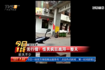 實(shí)拍：怪男子國道瘋狂跪拜一整天疑似苦行僧