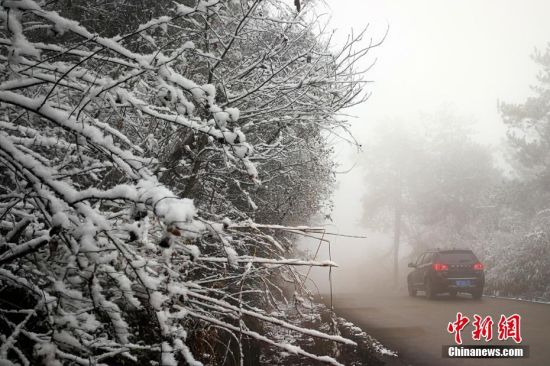 2月8日，三峡库区湖北省宜昌市夷陵区迎来立春后的首场降雪。刘斐 摄