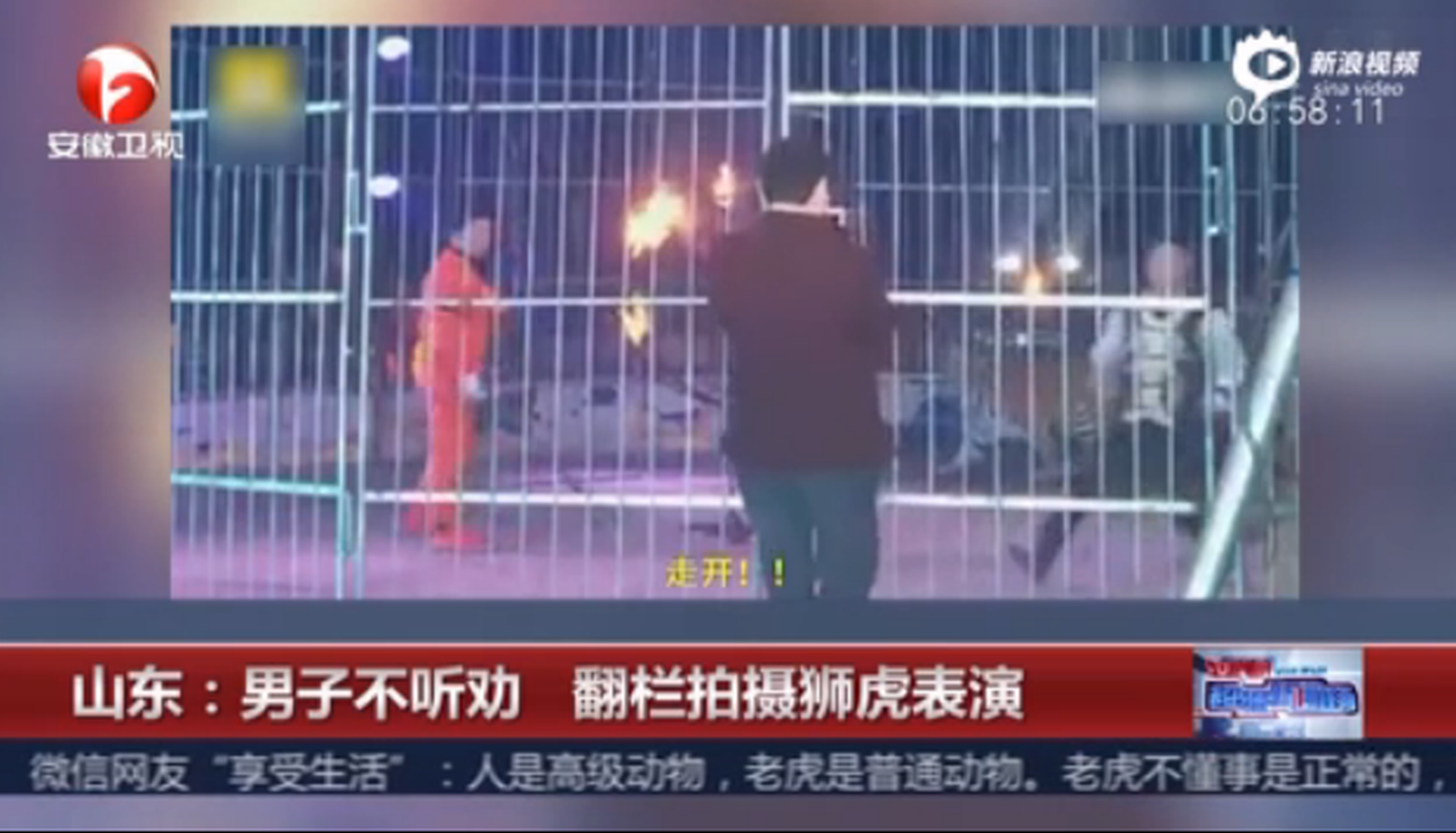 現(xiàn)場：男子不聽勸 翻欄拍攝獅虎表演
