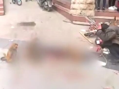 黄梅县正街鑫城门口耍猴的两名外地男子遭围殴。 视频截图