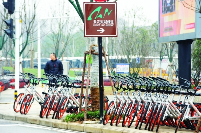 四种共享单车齐聚武汉 向这些不文明用车行为