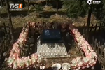 寵物墓園悄然興起 豪華墓穴價(jià)格過萬