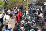 萬余輛共享單車“擠爆”深圳灣公園