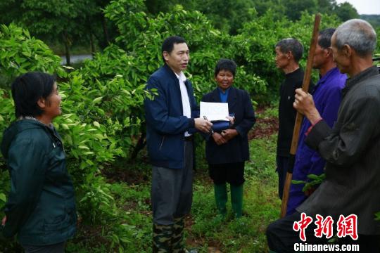 刘景贵（左二）在当阳市淯溪镇春新村搜集问题线索。　向晶方　摄